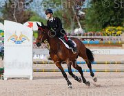 BOLOGNI F LOVESTAR CampITA2013- S5 1317 : BOLOGNI FILIPPO, Campionati Italiani 2013, Cattolica, Horse Riviera Resort, LOVESTAR, foto di Stefano Secchi ©